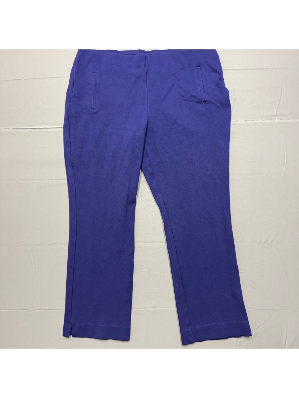 Chico's Women Brigitte Stretch Pull On Pants Size 2.5R 14 Purple Blue Ankle